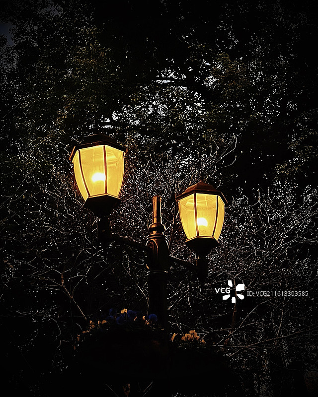 上海市·徐汇区·上海汾阳花园酒店·梧桐掩映下的复古路灯图片素材