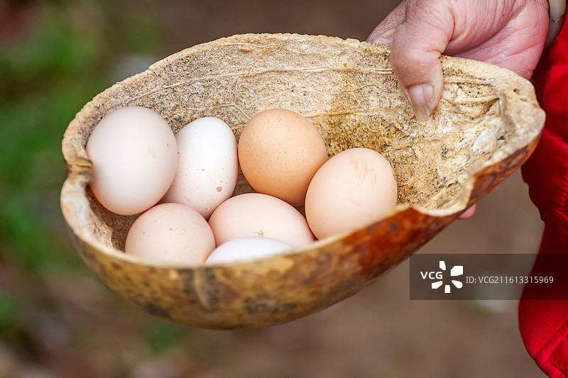 四川省绵阳市户外售卖的鸡蛋图片素材