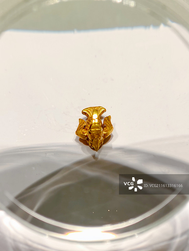 西安陕西历史博物馆秦代金鸟图片素材