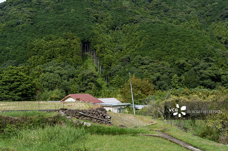 纪伊胜浦熊野古道图片素材