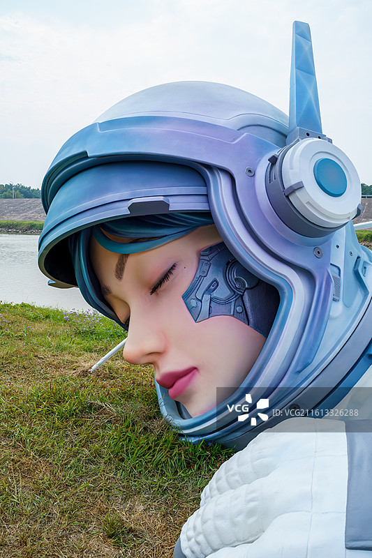 佛山南海丹灶罗行艺术墟‌的太空人紫兰特写图片素材