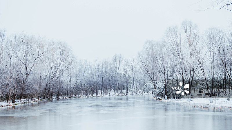 2026年第一场雪，西安浐灞国家湿地公园图片素材