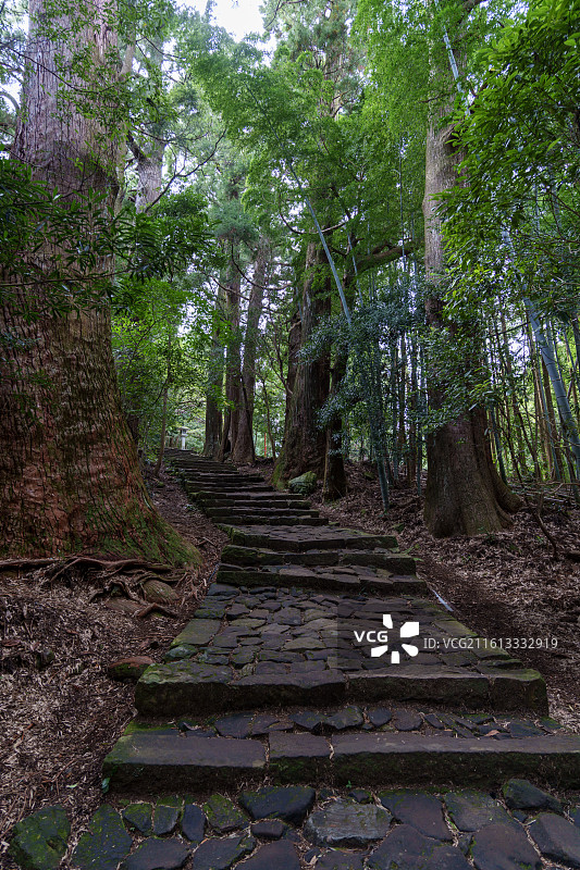 纪伊胜浦熊野古道图片素材
