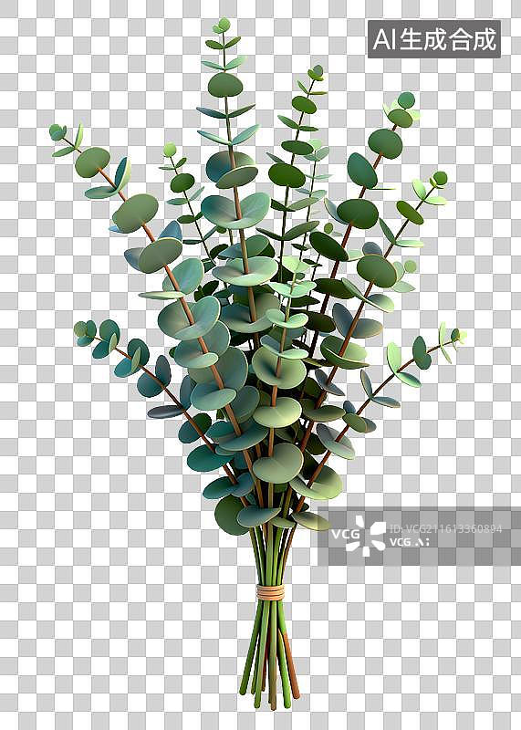 【AI数字艺术】一束尤加利叶图片素材