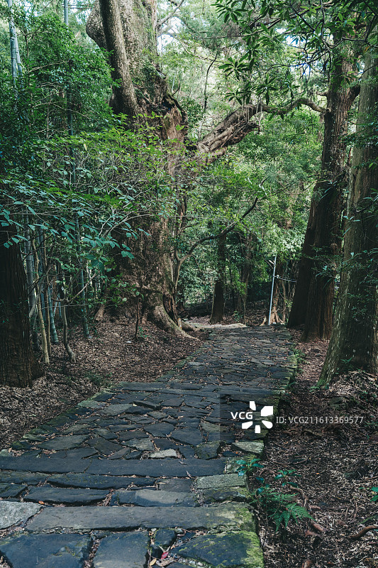 纪伊胜浦熊野古道图片素材