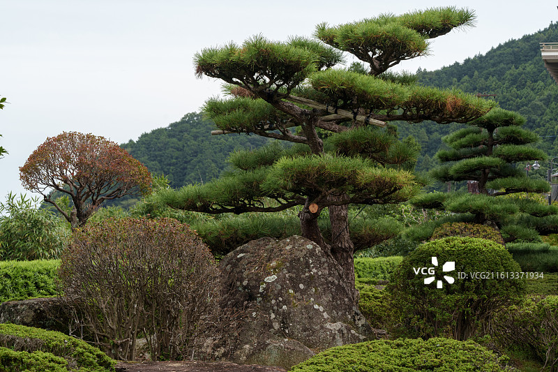 纪伊胜浦熊野古道图片素材