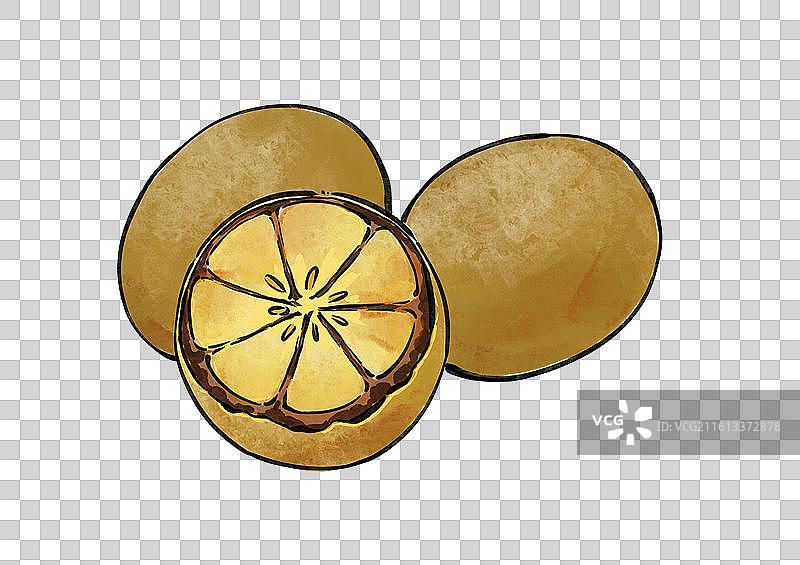 罗汉果草药中药药材中医健康养生手绘插画元素图片素材