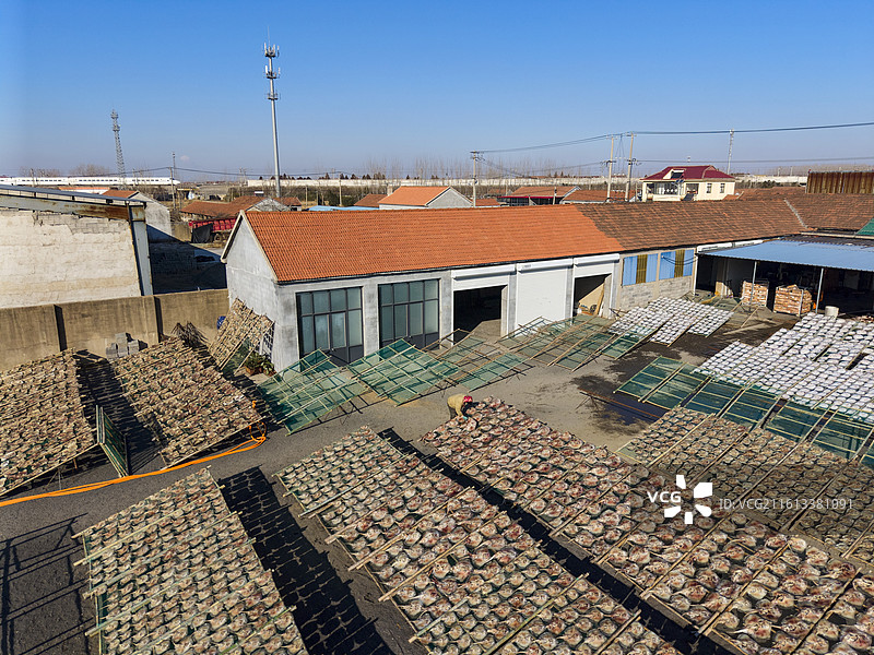 江苏连云港村民忙晒鱼干迎新年图片素材