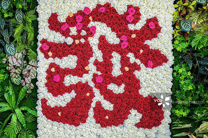 玫瑰花植物镶嵌的发财图片素材