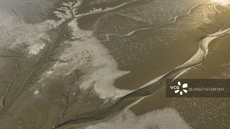 杭州钱塘区钱塘江大江东冬天冰封潮汐树图片素材