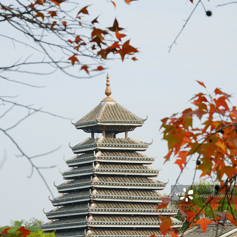 南宁市广西民族村枫叶红了图片素材