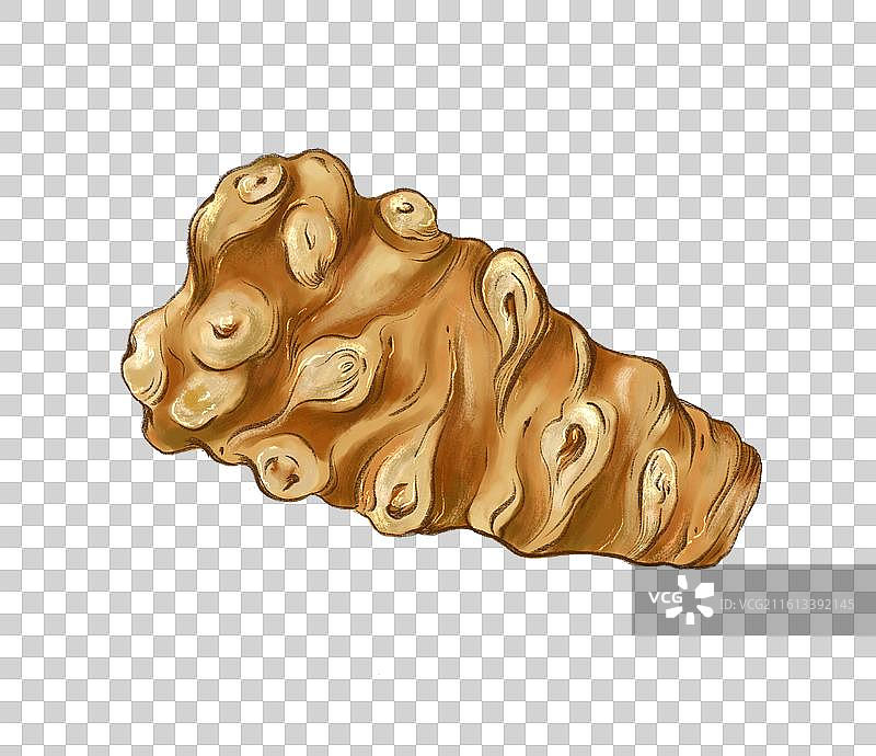 中药田七元素1图片素材