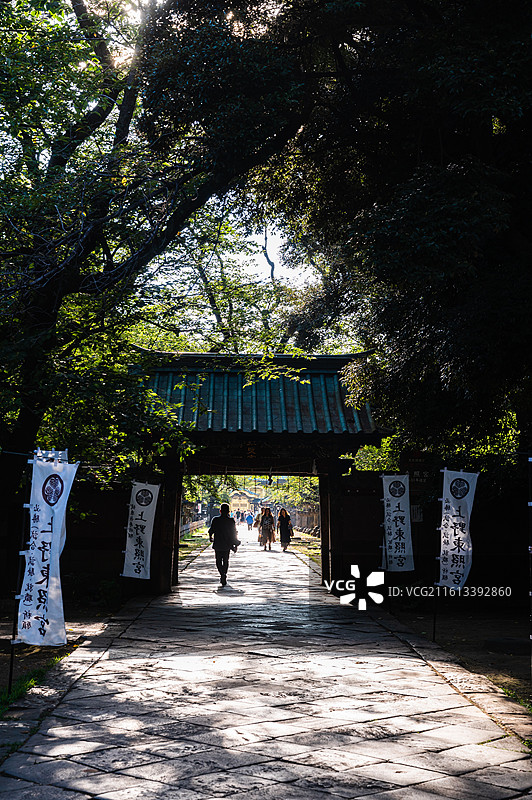 上野东照宫入口木质大门与林荫参道光影图片素材
