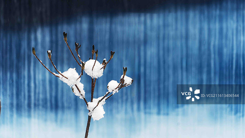 湖北咸丰坪坝营景区雪中小景图片素材