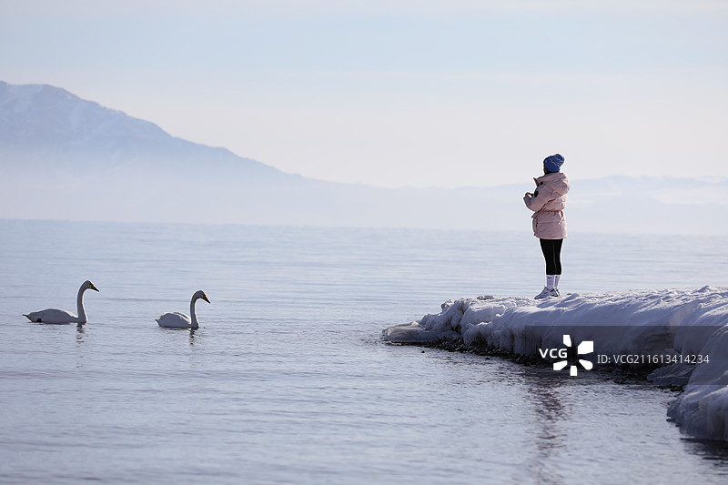 伊犁河谷赛里木湖天鹅壁纸图片素材