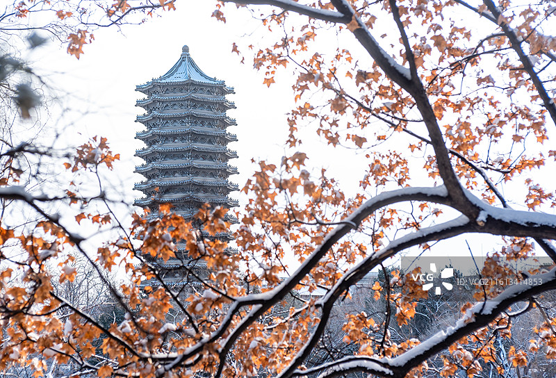 燕园风景：冬天雪后北京大学枫叶博雅塔图片素材