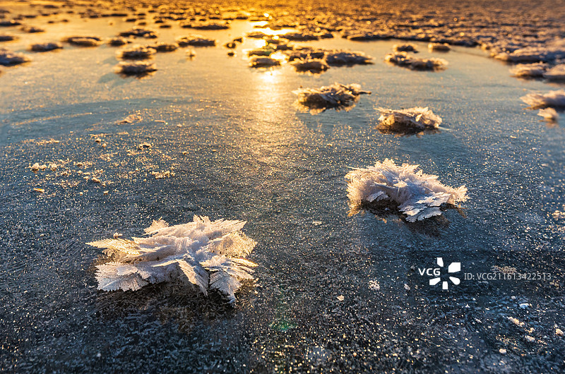 大庆冬天湖面上的冰花图片素材