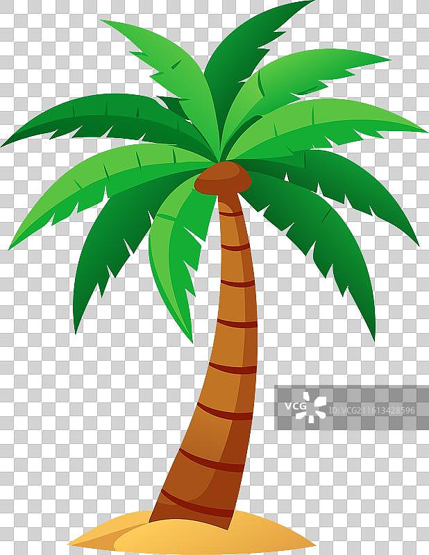 棕榈树和艺术品图片素材