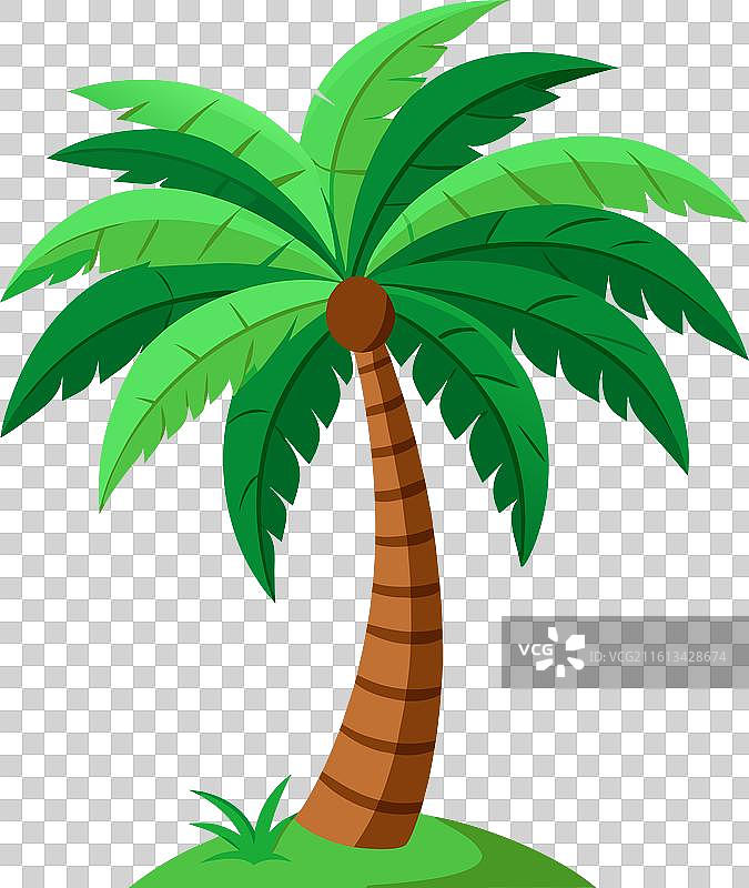 棕榈树和艺术品图片素材