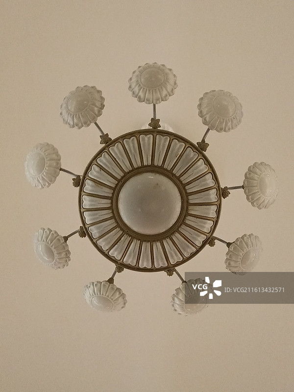 河北博物院吊灯装饰灯展览用灯射灯向日葵花卉灯图片素材