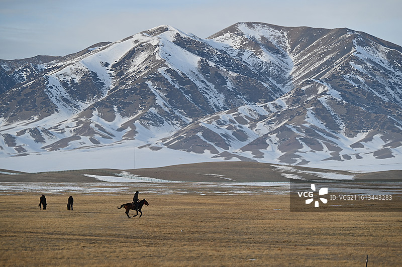 赛里木湖骑马的汉子图片素材