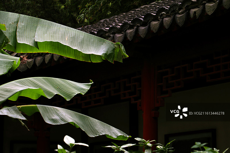 暗色中式长廊边明亮的芭蕉叶图片素材