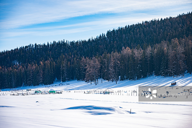 被大学覆盖的冬天喀纳斯景区图片素材