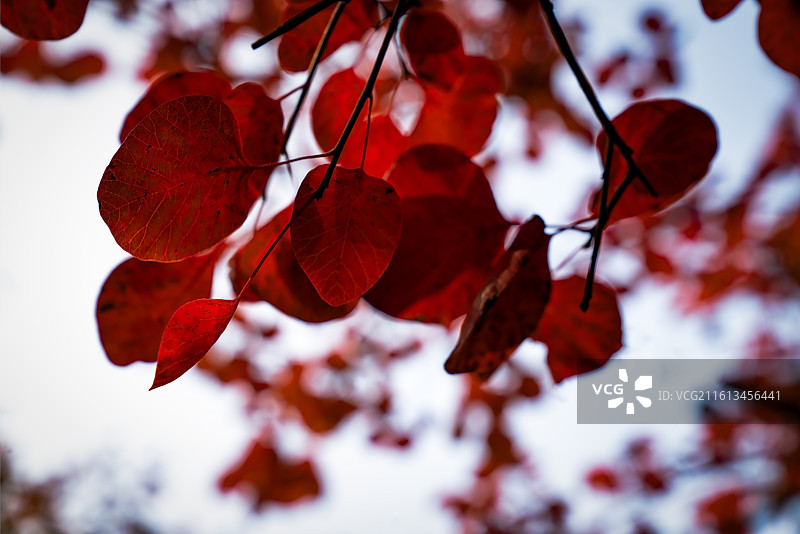 北京坡峰岭图片素材