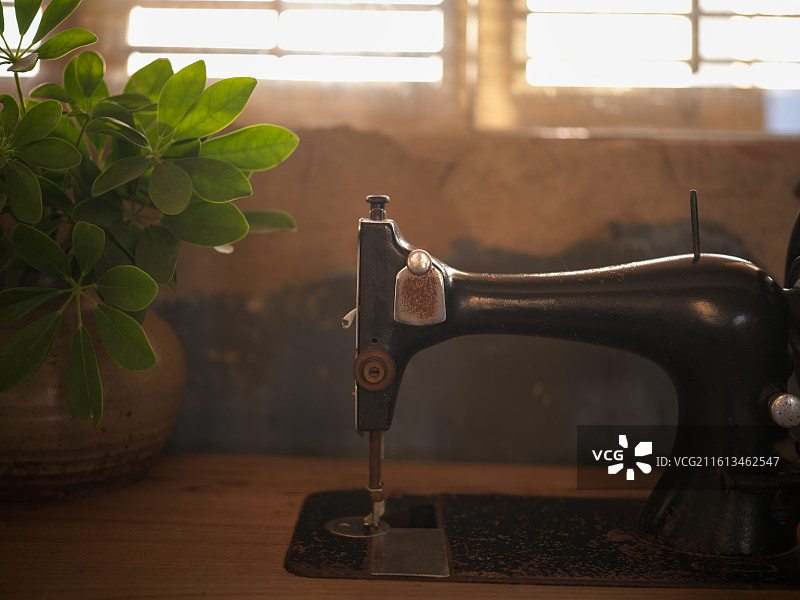 老式缝纫机与绿植图片素材