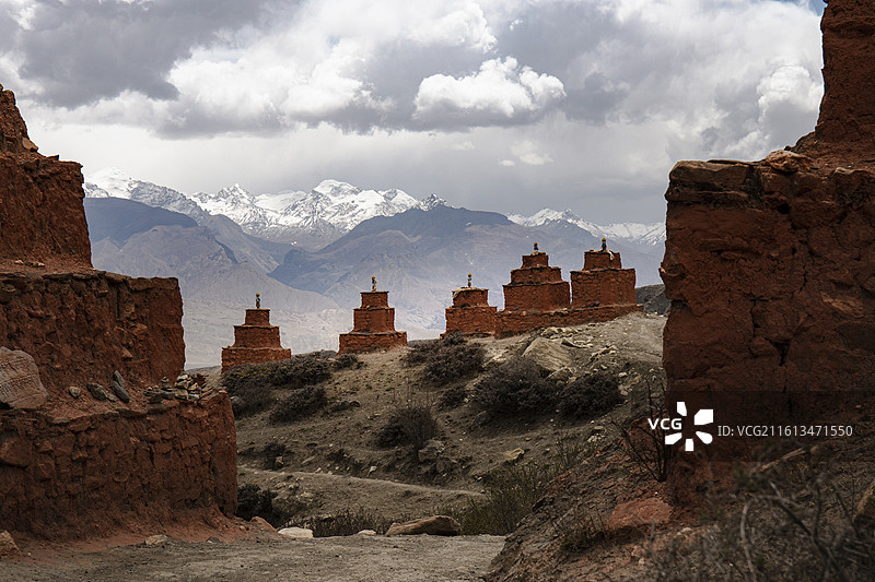 木斯塘图片素材