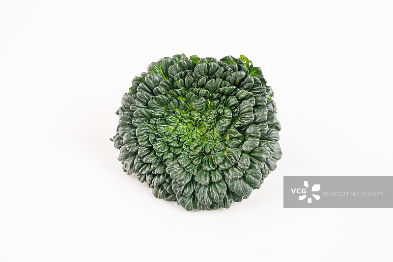 菊花菜乌塌菜图片素材