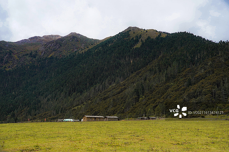 云南香格里拉无底湖：森林山体下的高山草甸与原始山林乡村景观图片素材