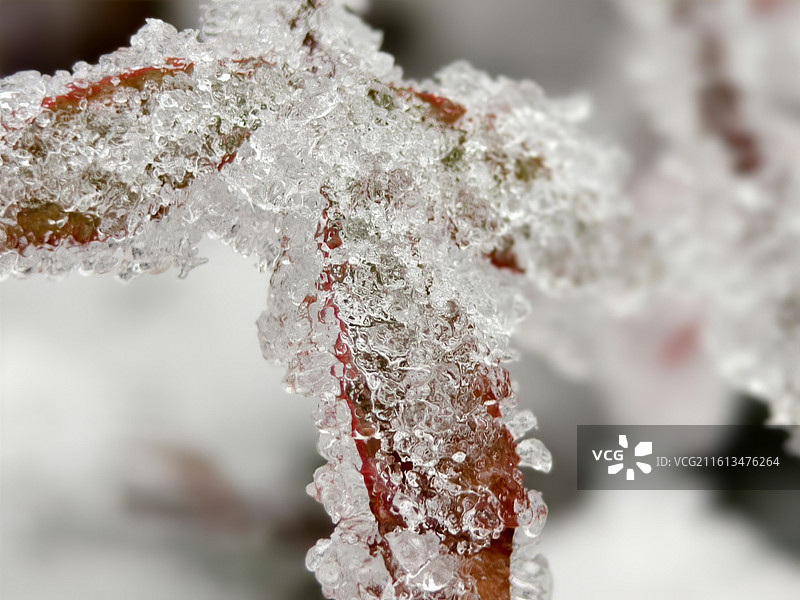 华蓥山的雪景图片素材