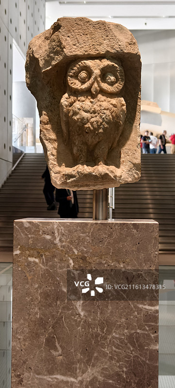 希腊雅典卫城博物馆～ 一种典型的猫头鹰，属于雅典夜鸮，至今仍栖息在卫城地区图片素材