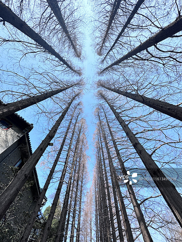 扬州瘦西湖图片素材