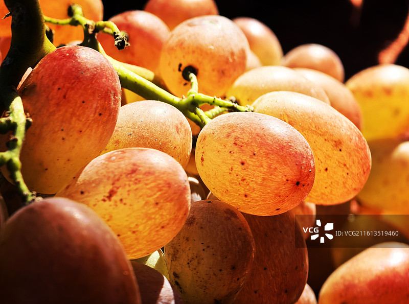 天津市滨海新区 大港集市图片素材