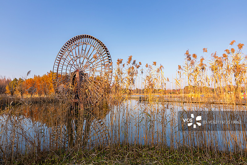 苏州太湖湿地公园秋色图片素材