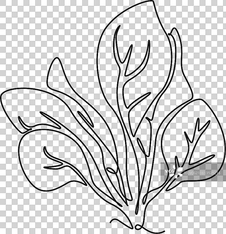 单线条连续画，健康完整图片素材