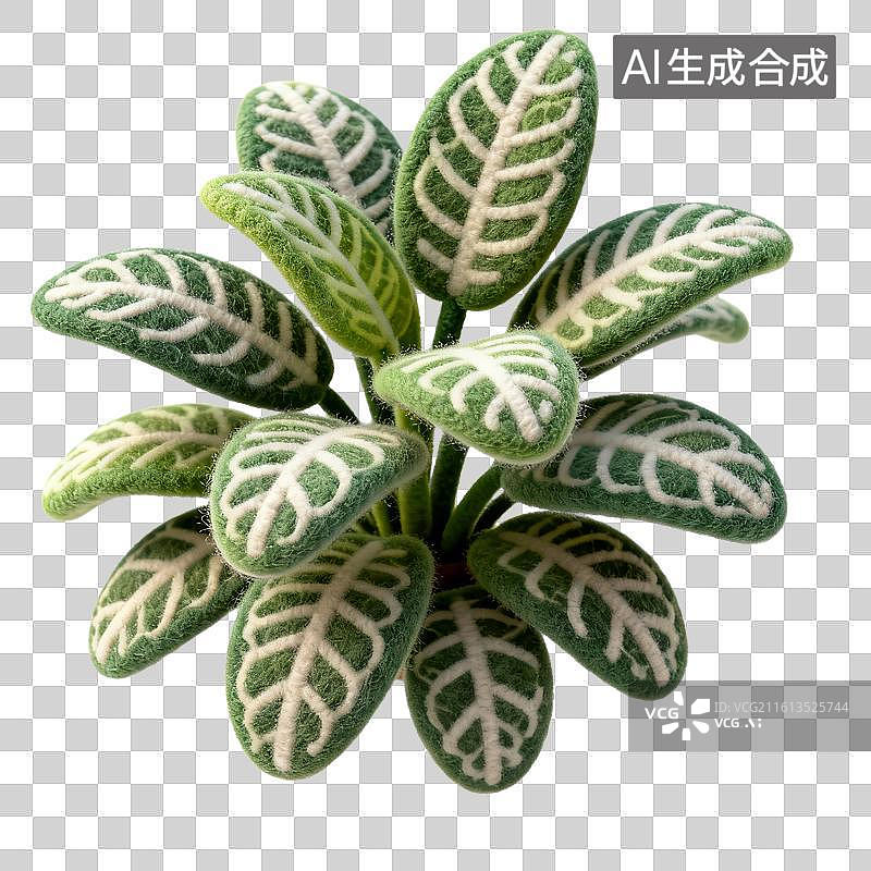 【AI数字艺术】手工毛毡叶脉植物盆栽图片素材
