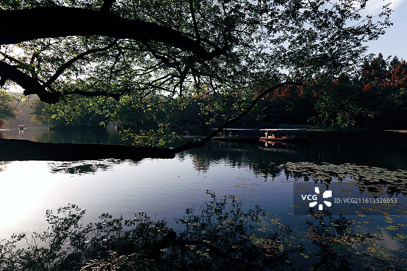 湖光树影1图片素材