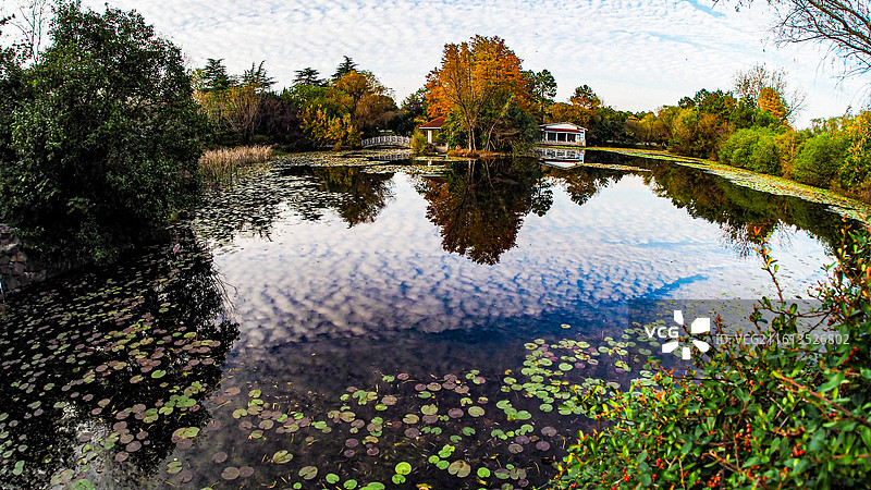 合肥植物园秋色图片素材