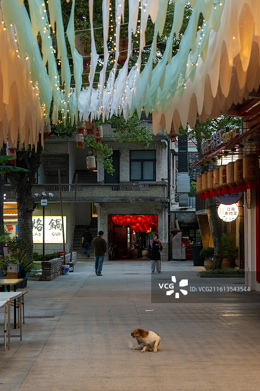 乌镇南栅景区图片素材