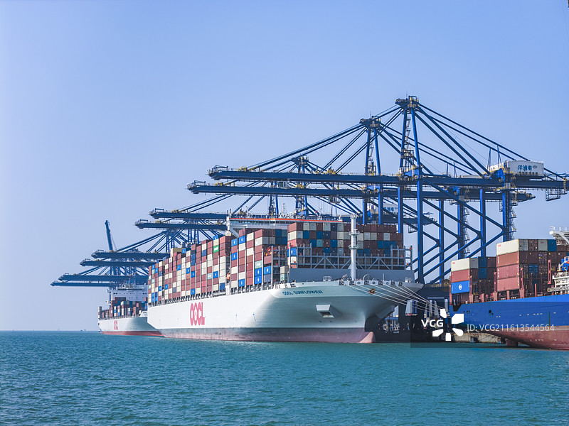 威武霸气的东方向日葵巨轮图片素材