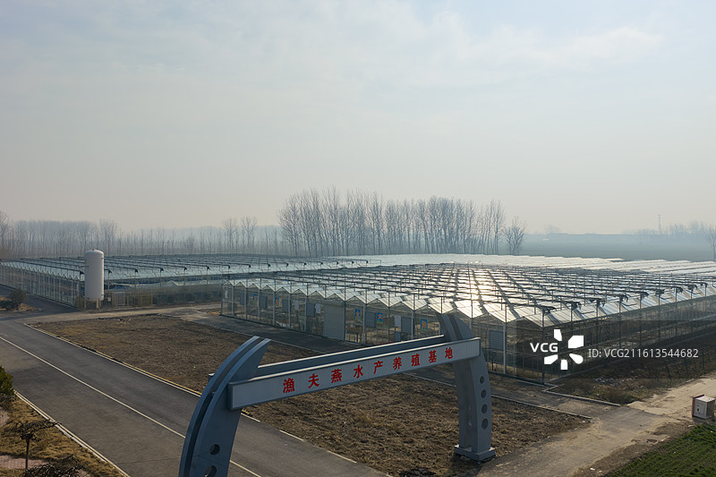 河南省太康县渔夫燕水产养殖基地温室玻璃大棚石斑鱼鲈鱼孵化养殖基地图片素材