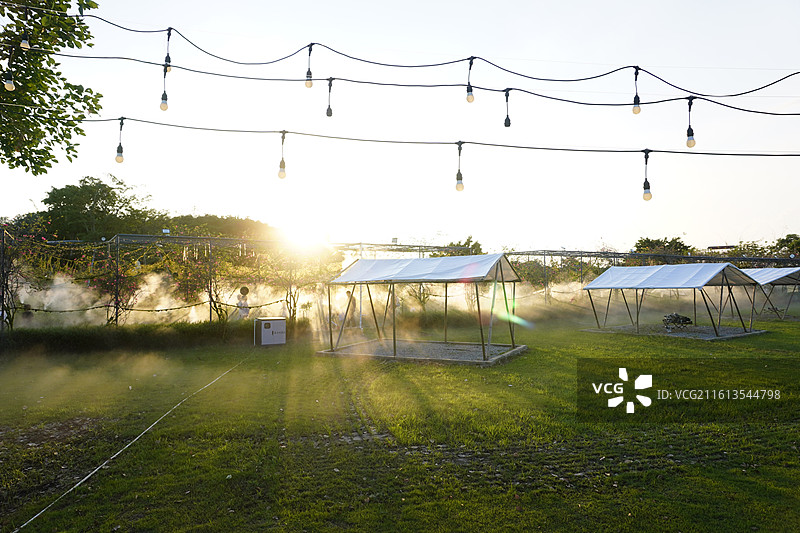 岭南大地百草园图片素材