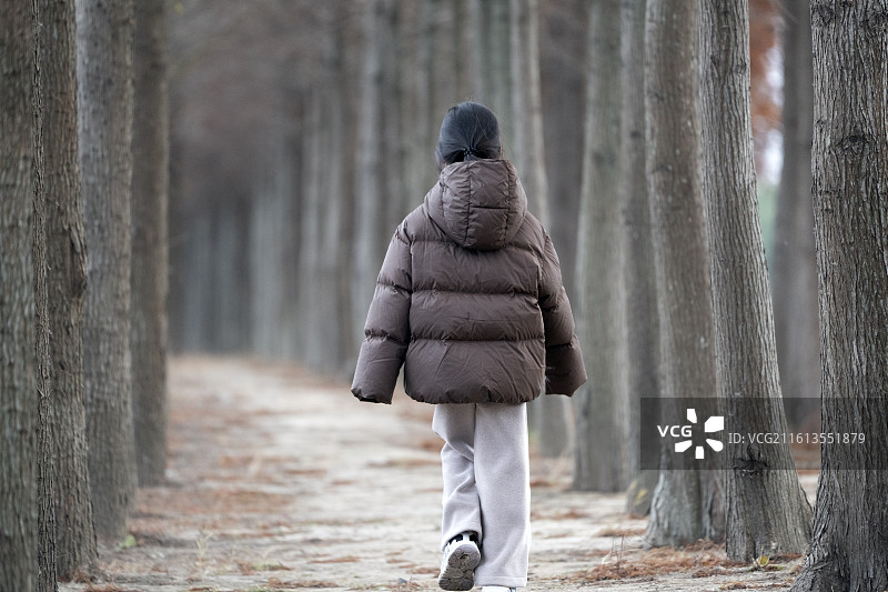 小女孩和妈妈在冬天的水杉林探索森林图片素材