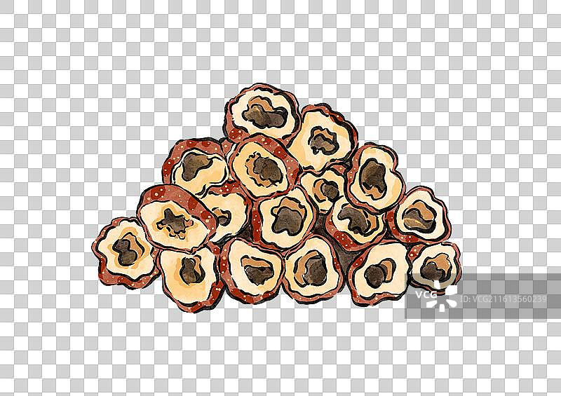 山楂草药中药药材中医健康养生手绘插画元素图片素材