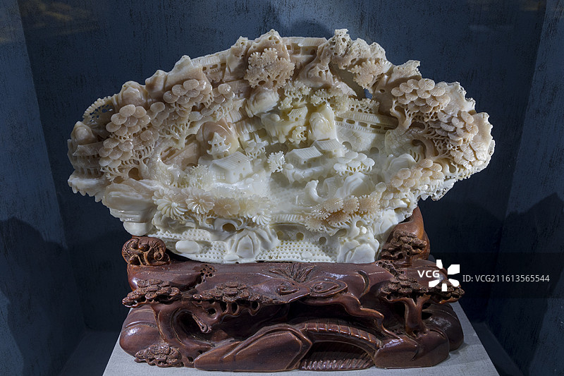 河南自然博物馆，砗磲图片素材