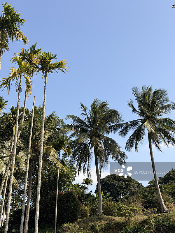 华侨蔡家宅图片素材