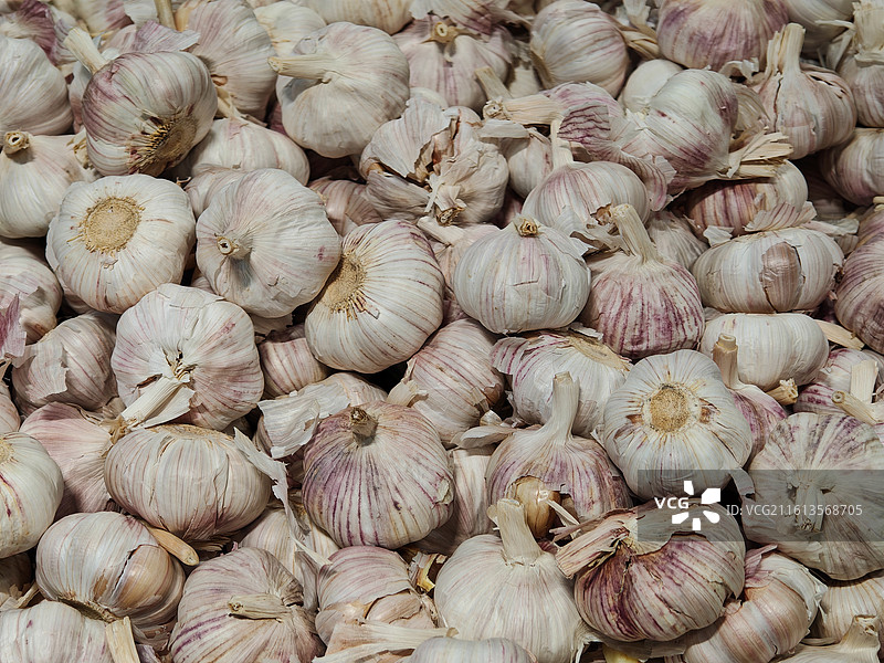 大蒜头图片素材